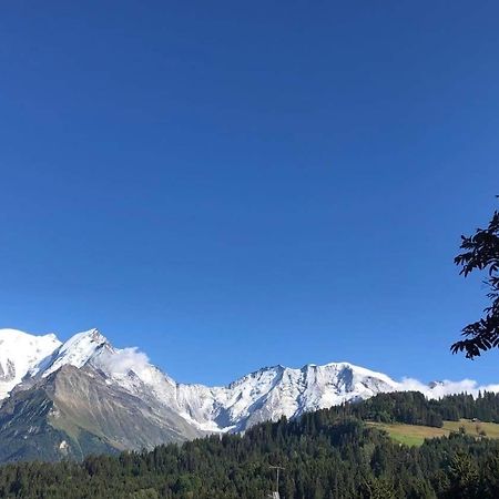La Comtesse Apartment Saint-Gervais-les-Bains Bagian luar foto